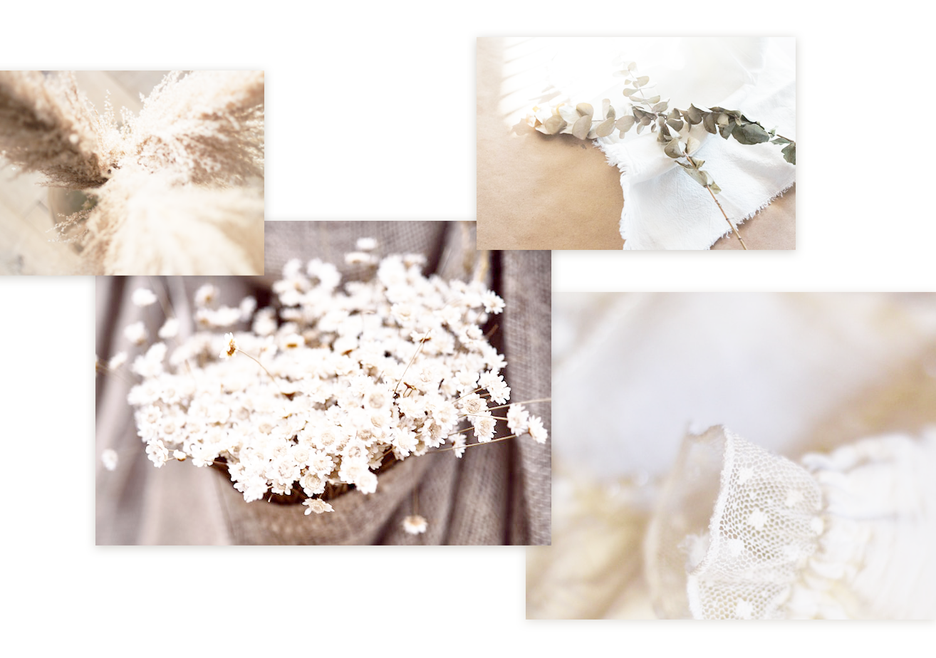 willowの世界観のイメージ